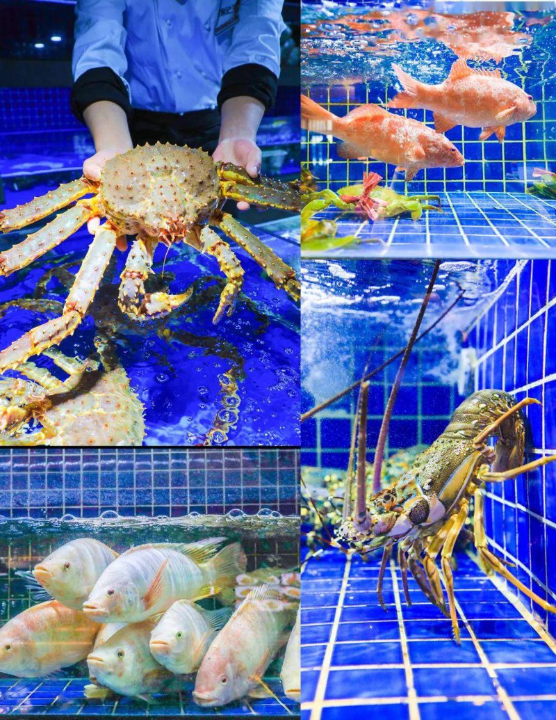 武汉海鲜池定做