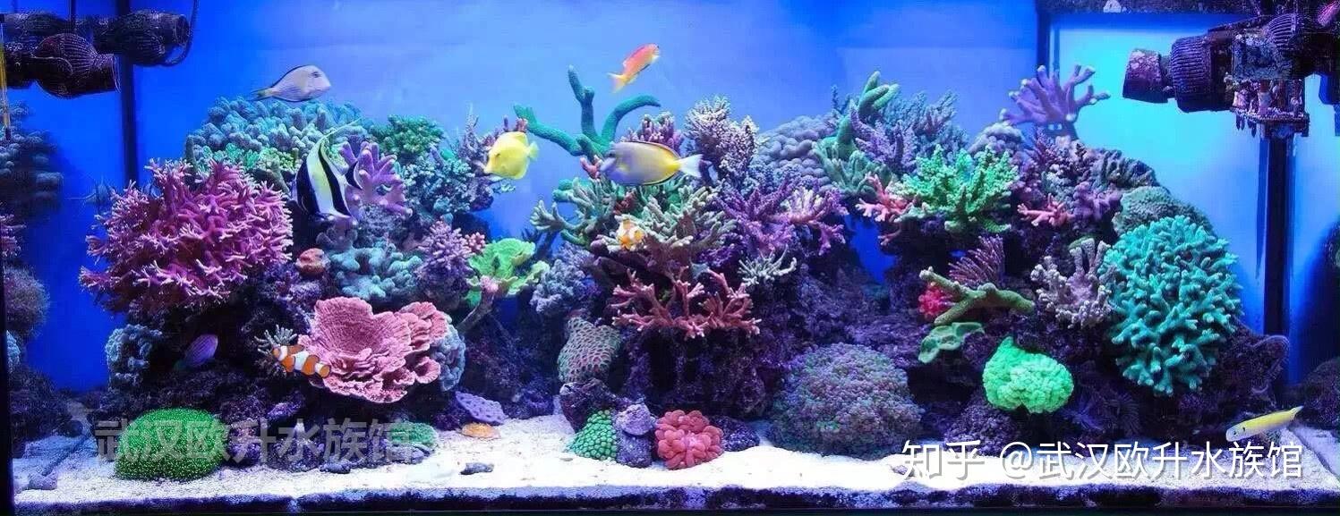 欧升水族馆
